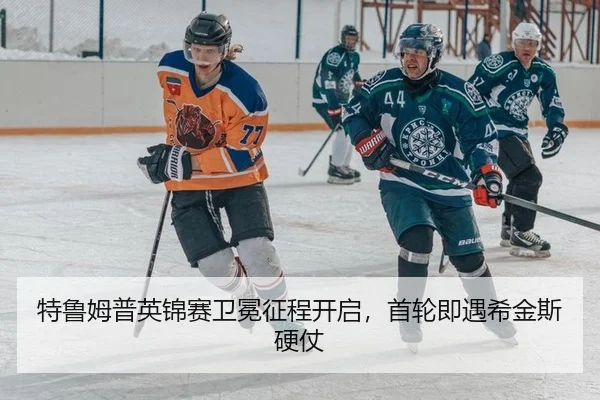 te-lu-mu-pu-ying-jin-sai-wei-mian-zheng-cheng-kai-qi-shou-lun-ji-yu-xi-jin-si-ying-zhang-2-238.jpg